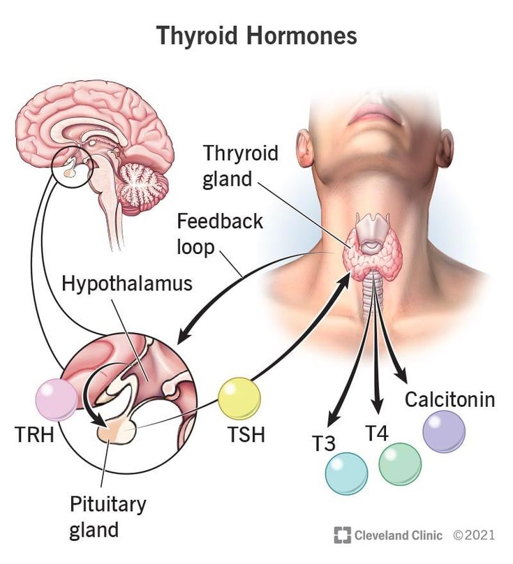 Nutritionist for Thyroid in Bhopal