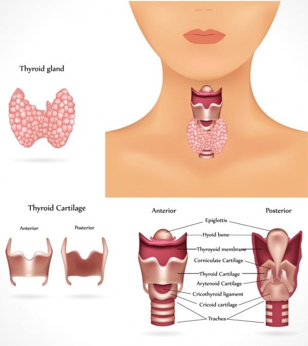 Nutritionist in Hyderabad for Thyroid